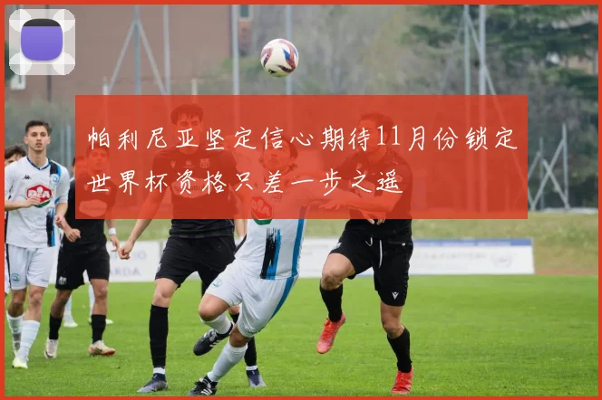 帕利尼亚坚定信心期待11月份锁定世界杯资格只差一步之遥