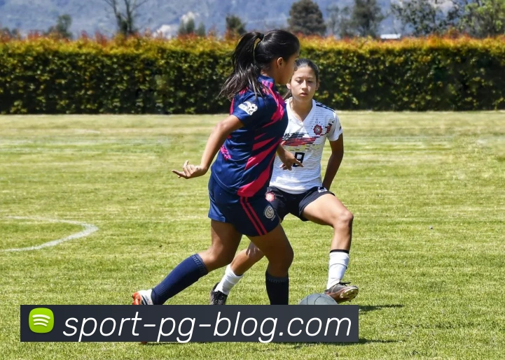 南宫体育平台生态图